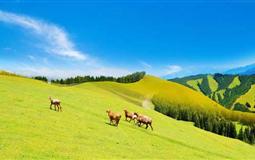 新疆天山天池-火洲吐魯番-庫木塔格沙漠-萬畝杏花園-新疆古生態(tài)園雙飛6日游