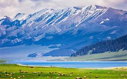 重慶到新疆雙飛雙臥12-14日游[喀納斯+禾木+魔鬼城+賽里木湖+魔鬼城+巴音布魯克]