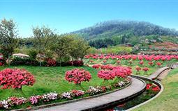 新津花舞人間、黃龍溪古鎮(zhèn)、都江堰2日游