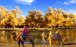 額濟納旗胡楊林、枯樹林、張掖七彩丹霞、沙坡頭雙動雙臥7日游