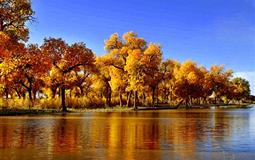 額濟納旗胡楊林、怪樹林、天梯山石窟、張掖七彩丹霞、沙坡頭雙動7日游