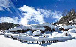 <夢幻東北 激情滑雪>黑龍江哈爾濱-亞布力-雪鄉(xiāng)雙飛五日游