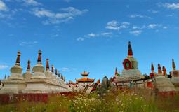 紅原大草原、瓦切塔林、紅軍長征紀念碑、普羅旺斯薰衣草基地雙汽4日游