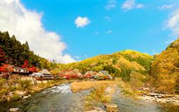 【日式五星】日本京都+奈良+香嵐溪+四季櫻7日游<雙古都>