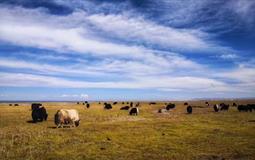 [一價全含]河北承德避暑山莊+壩上+北戴河+唐山雙動8日游<0購物|0自費|門票全含>