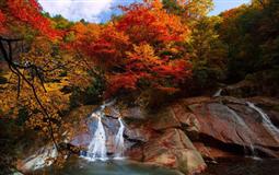 光霧山紅葉季、滕王閣、中國綢都絲綢博物館三日游<贈送2早1正>