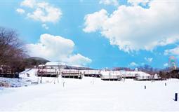 日本东京+箱根+富士山+镰仓戏雪半自助6日游