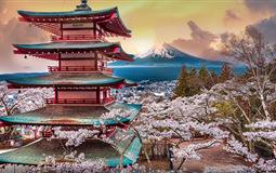 日本賞河津早櫻-大阪+京都+奈良+富士山+東京6日游