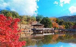 日本东京+富士山+奈良+京都+大阪7日游<国航直飞+全程0自费>