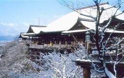 【日本本州】东京-富士山-京都-奈良-大阪赏雪泡汤6日游