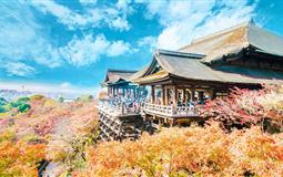 [高端纯玩]日本东京+富士山+奈良+京都+大阪6日游<全程日式四星酒店>