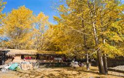 騰沖、瑞麗、芒市、保山品質(zhì)純玩雙飛6日游<0自費(fèi)+0購物>