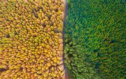 南川·山王坪喀斯特国家生态公园+大观原点一日游|0自费_重庆周边游