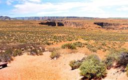 美國(guó)東西海岸舊金山+17英里+南峽+羚羊彩穴+大瀑布+雙公路+雙奧萊14日游