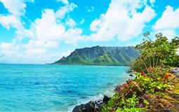 美國(guó)夏威夷·歐胡島<小環(huán)島精華游+珍珠港+市區(qū)游覽+威基基海灘>8天半自由行
