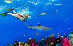 斐濟[4晚外島托闊里奇海濱草屋+2晚鉑爾曼園景房]8天6晚自由行<含國際機票及稅金+酒店+上島交通+接送機>