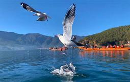 麗江/大理/瀘沽湖雙飛6日游（全程純甄純玩不進(jìn)購(gòu)物店+深度體驗(yàn)云南精華景點(diǎn)）