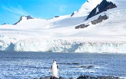 [海鉆石號(hào)]南極<極地半島+南設(shè)得蘭群島>+巴西+阿根廷深度21日游<上海起止>