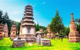 河南少林寺-龍門石窟-神州牡丹園-老君山-黃河三峽-云臺山-郭亮村-開封府雙臥雙高8日游