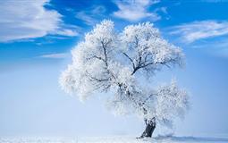 重慶出發(fā)東北冰雪環(huán)線雙飛6日游<吉林霧凇-萬科松花湖滑雪-魔界-長白山天池-鏡泊湖-雪鄉(xiāng)-亞布力-哈爾濱市區(qū)>