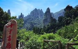 [0自費(fèi)]湖南張家界+天子山+袁家界+天門山+黃石寨純玩火車4日游