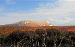 [一價(jià)全含]非洲三國11天8晚[津巴布韋+贊比亞+博茨瓦納]