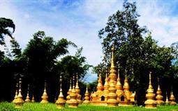 [純玩]重慶到昆明+西雙版納純玩6日游[動(dòng)車/飛機(jī)]