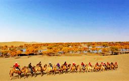 【深度南疆】<烏魯木齊+庫爾勒+羅布人村寨+庫車+阿克蘇+石頭城>雙飛一臥8日游