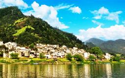 江西婺源篁嶺-安徽水墨宏村-盧村油菜花海-船游新安江山水畫廊-采茶體驗-徽州雙古街純玩4日游