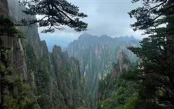 廬山-黃山-景德鎮(zhèn)-婺源真純玩雙動(dòng)6天5晚_0自費(fèi)0購(gòu)物(含景區(qū)大門(mén)票)-南昌往返