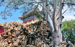 重慶到北京+天津一價全含雙飛六日游(住商務(wù)酒店+贈450元小交通)