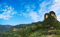 [純玩]綦江老瀛山、版畫院、木化石博物館一日游