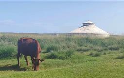 縱橫東北四省.橫跨鴨綠江遼寧+吉林+黑龍江+丹東+漠河+草原14日游