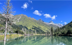 [純玩]重慶到四姑娘山雙橋溝+中華大熊貓?jiān)?貓鼻梁雙汽2日游