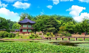 青瓦台1