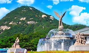 青瓦台5