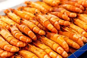 长江行极光美食集锦03
