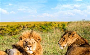 肯尼亚马赛马拉国家保护区2