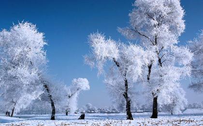 哈尔滨、长白山、长春、沈阳火车9日游赏初冬雪景