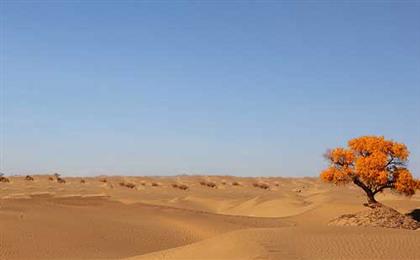 [出境旅游]摩洛哥-撒哈拉沙漠-菲斯-舍夫沙萬-卡薩布蘭卡-馬拉咔什全景11日北非掠影