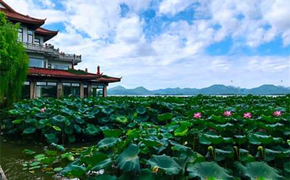 [纯玩]华东杭州+苏州4日游[乌镇+西塘]沁美小江南 毓秀小江南