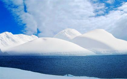 [信天翁郵輪|華人包船]南極-南設特蘭群島-南極半島-阿根廷-中國攝影巡游16日游與南極企鵝共度春節