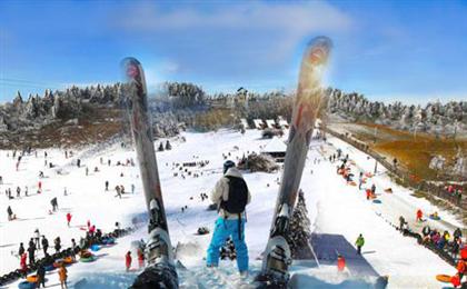 武隆仙女山冰雪世界赏雪纯玩一日游<不含餐>东方瑞士，爱在仙女山