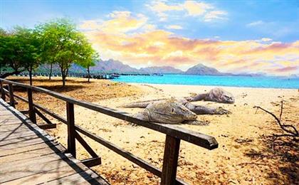 印尼巴厘岛+科莫多6日游[科莫多帕达尔岛+粉红沙滩+水明漾]奇幻夏日