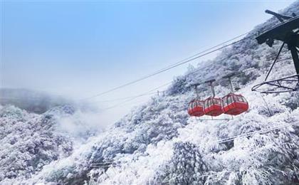 冰雪南川金佛山、金佛寺祈福、天星小镇纯玩一日游滑雪季