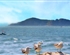 山東半島5A雙飛5日游<嶗山正門八水河+那香海+蓬萊落棧橋+青島奧帆情人壩+威海幸福門+煙臺(tái)+海陽>