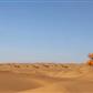 [出境旅游]摩洛哥-撒哈拉沙漠-菲斯-舍夫沙万-卡萨布兰卡-马拉咔什全景11日