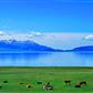 新疆赛里木湖-乌尔禾魔鬼城-喀纳斯湖-禾木村-五彩滩新疆古生态园-天山天池双飞8日游