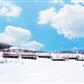 日本东京+箱根+富士山+镰仓戏雪半自助6日游